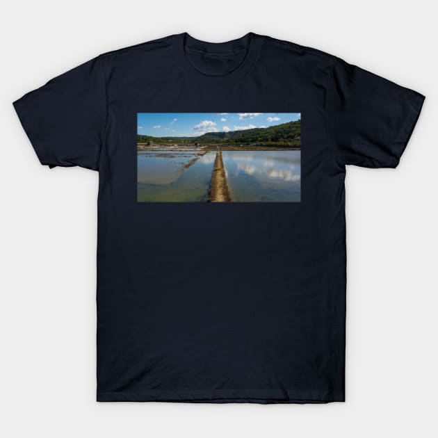 Strunjan Salt Flats, Slovenia T-Shirt by jojobob